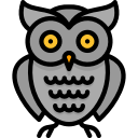 owl